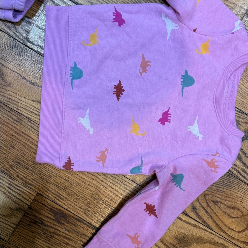 Cat & Jack Kids Sweatshirt with Dinosaur Print - Purple